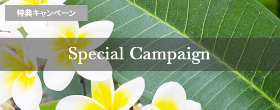 特典キャンペーン