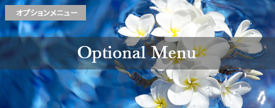 オプションメニュー