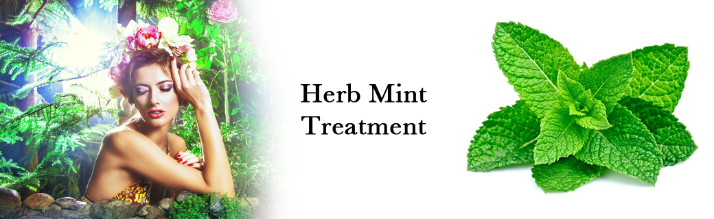 肩こりミントハーブ