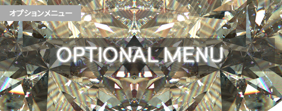 オプションメニュー