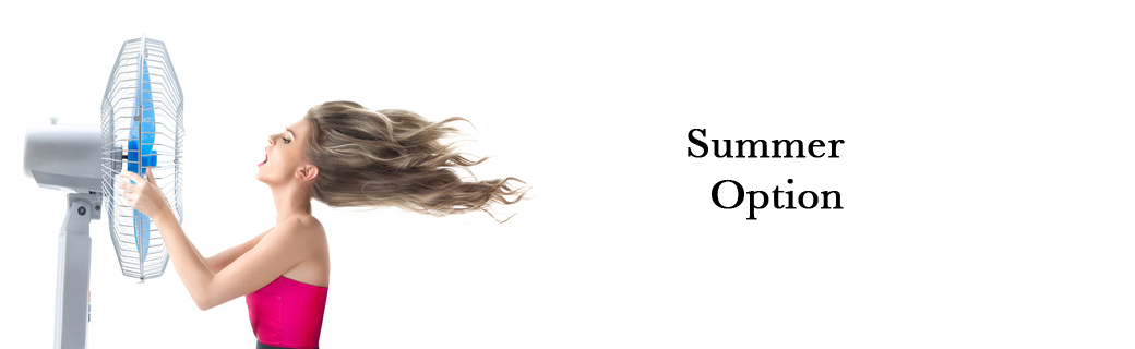 夏期限定メニュー